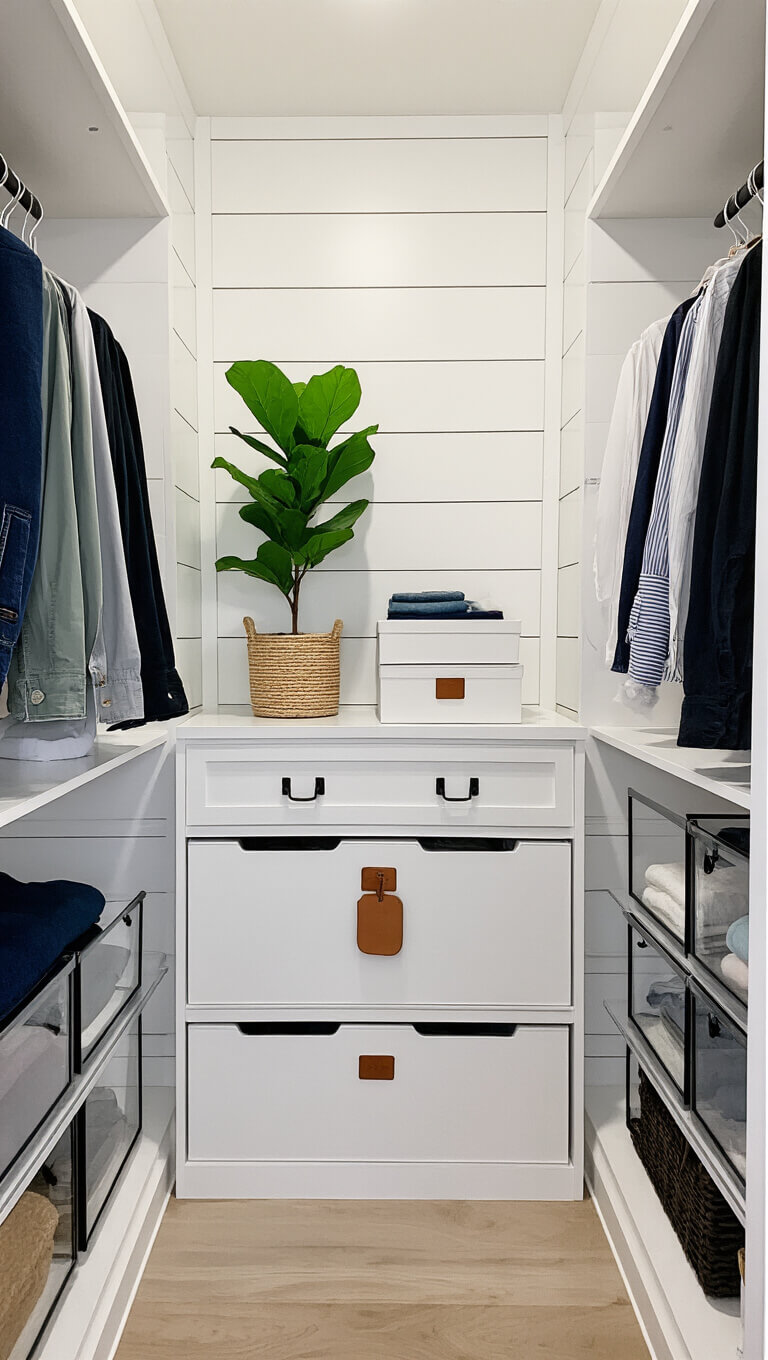 Transformed 6x6ft closet with white shiplap walls, black hardware, clear acrylic drawers, white storage boxes with leather tags, and a small fiddle leaf fig.