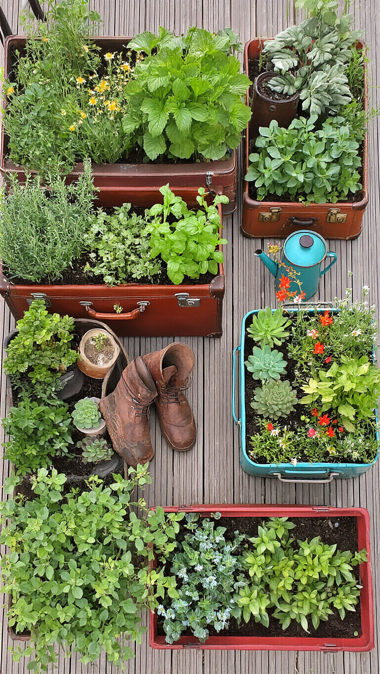 Upcycled container garden on 15x20ft terrace with herbs in vintage suitcases, succulents in old boots, and wildflowers in enamel coffee pots, viewed from above in midday light.
